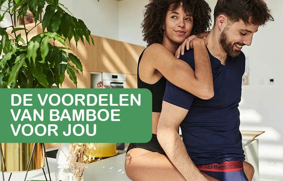 Bamboo2.webp