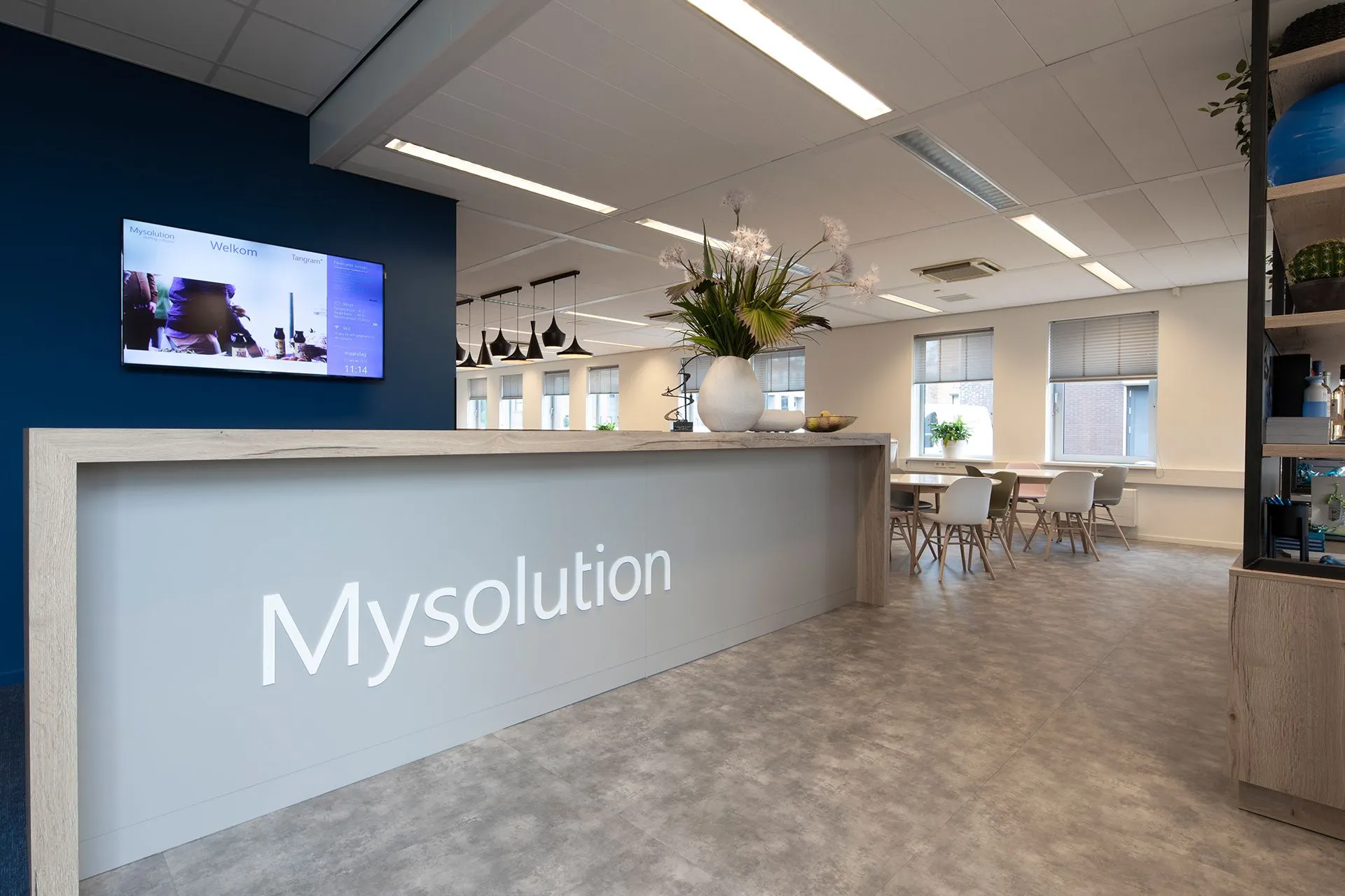mys1.jpg